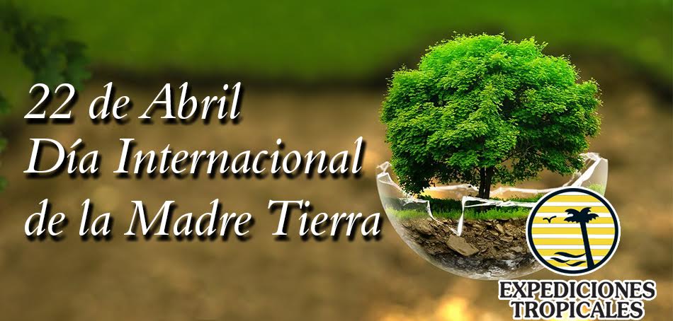 dia-de-la-madre-tierra