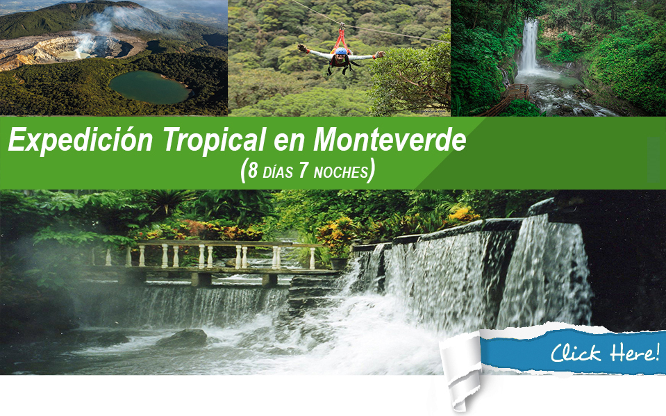 Expedicion-Tropical-en-Monteverde