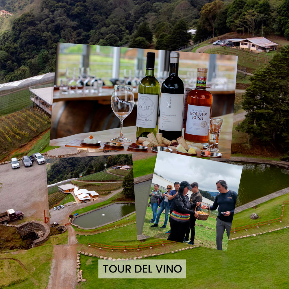 Tour-del-vino