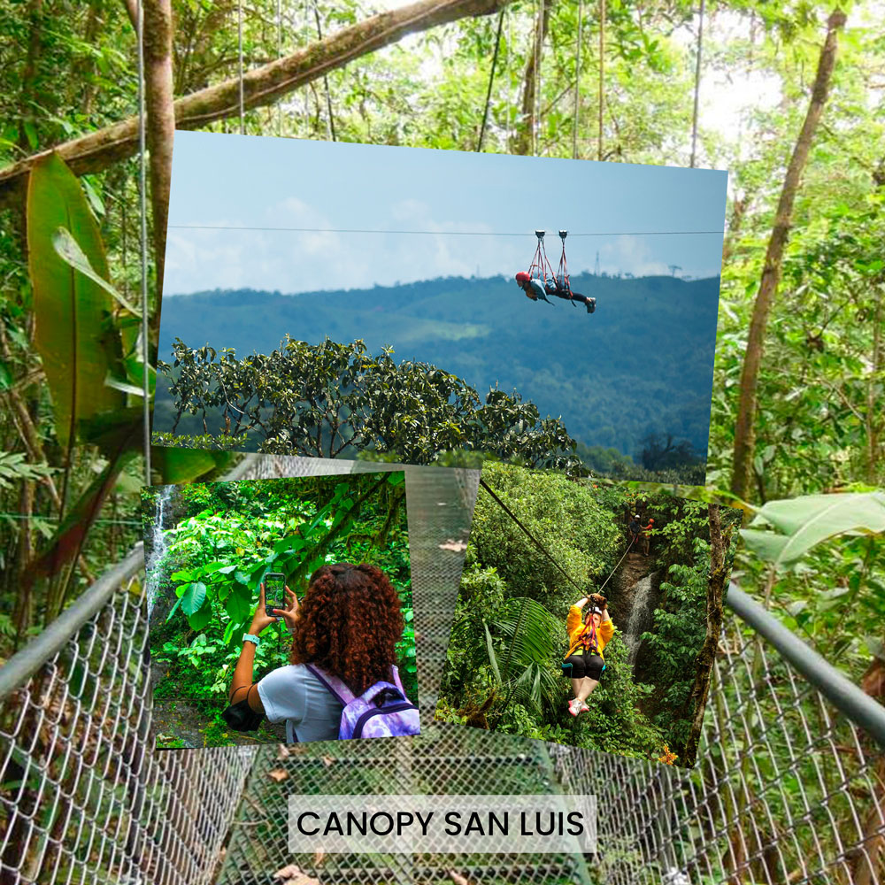 canopysanluis