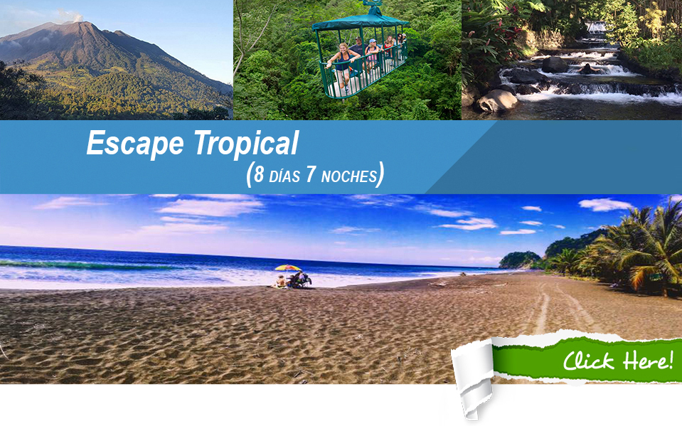 escape-tropical
