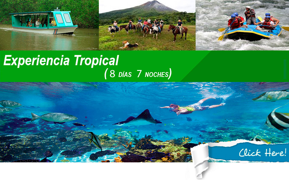 experiencia-tropical-8days-7nights-24