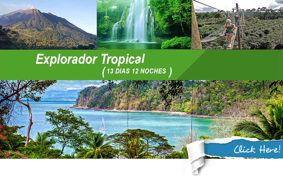 explorador-tropical